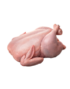 Frozen Chicken