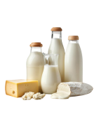 Dairy